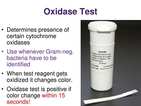 1.24: Oxidase Test .